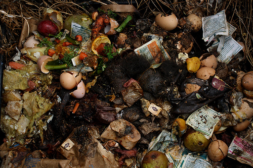 contents of a compost bin