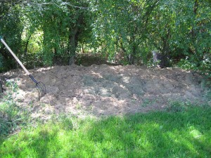 a grass compost pile