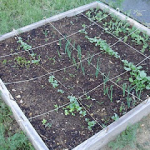 Planted raised garden bed
