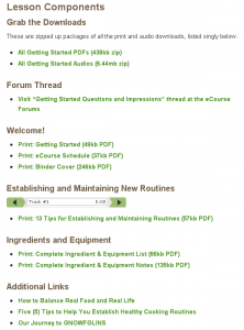 gnowfglins fundamentals I getting started lesson components