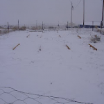 A May snowstorm in Wyoming