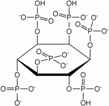 phytate molecule