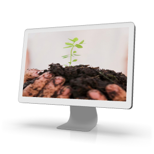 gnowfglins seedling on monitor