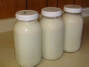Raw, organic, pastured milk in half-gallon jars.