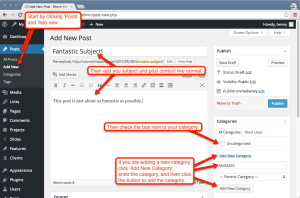 Create a new wordpress post